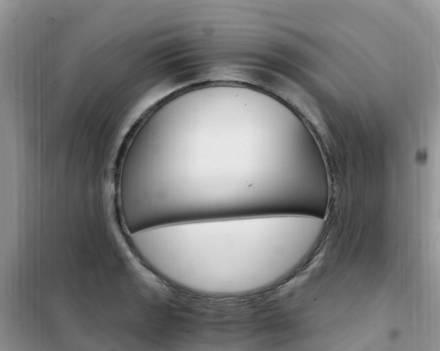 X0000102371133200808011017