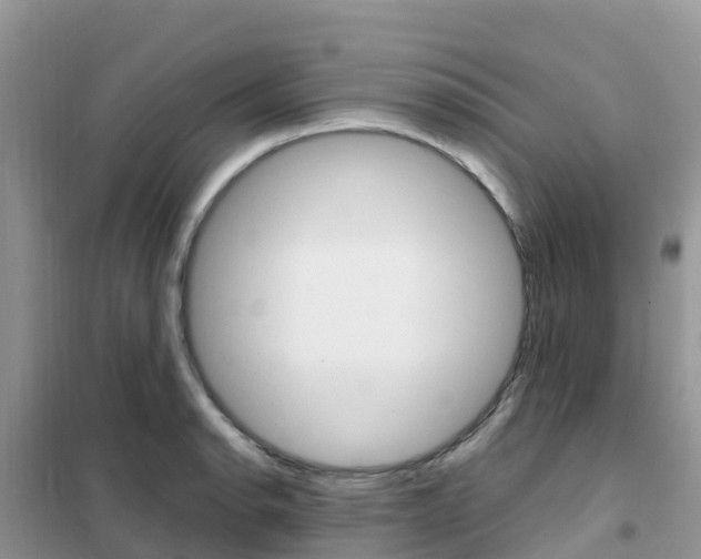 X0000102371134200808011017