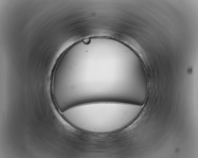 X0000102371135200808011017