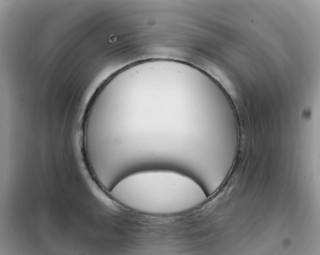 X0000102371136200808011017