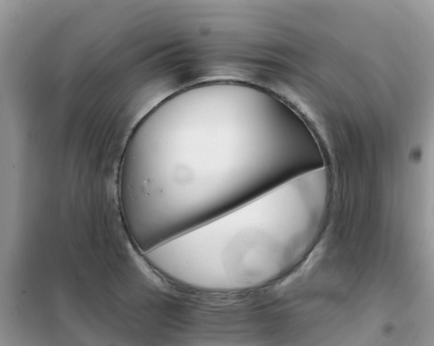 X0000102371137200808011017
