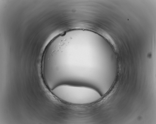 X0000102371138200808011017