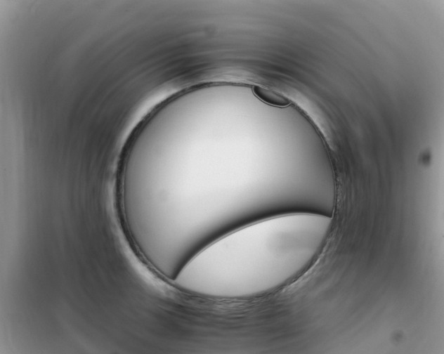 X0000102371139200808011017
