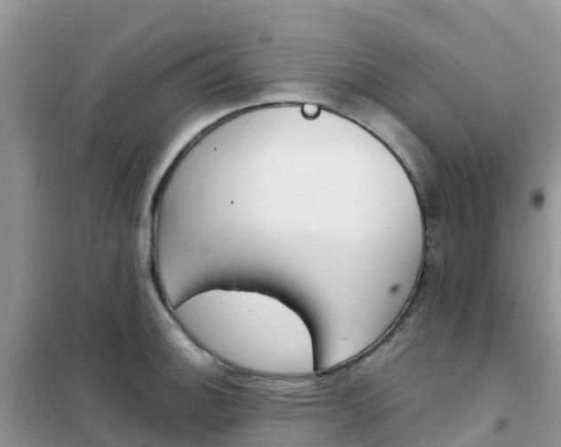 X0000102371140200808011018