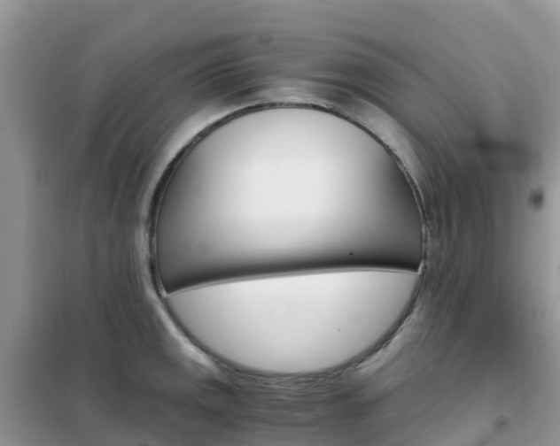 X0000102371141200808011018