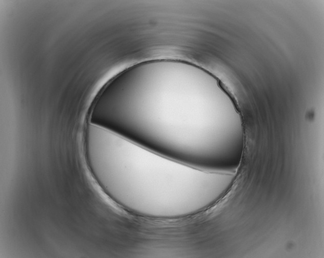 X0000102371142200808011018