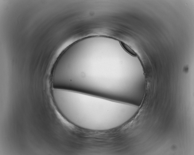 X0000102371143200808011018
