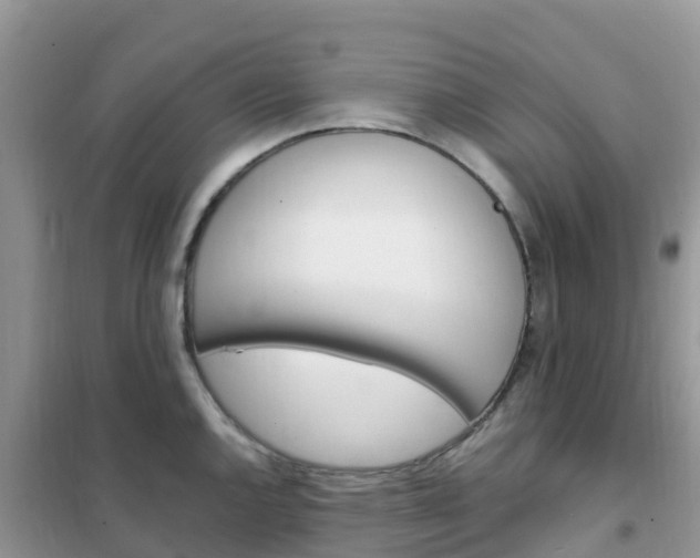 X0000102371144200808011018