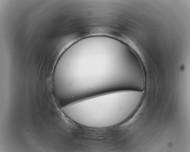 X0000102371145200808011018