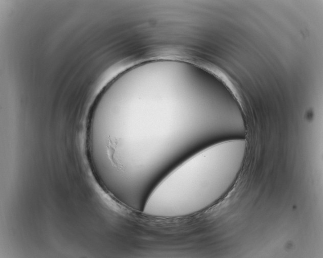 X0000102371147200808011018