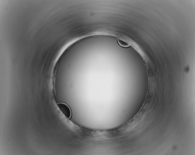 X0000102371148200808011018
