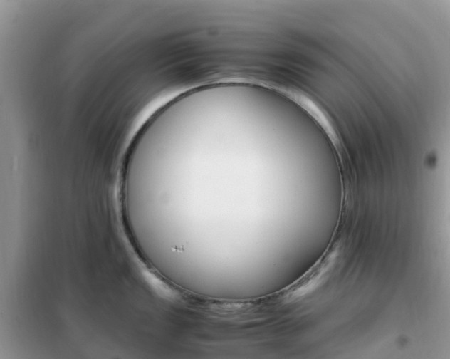 X0000102371149200808011018