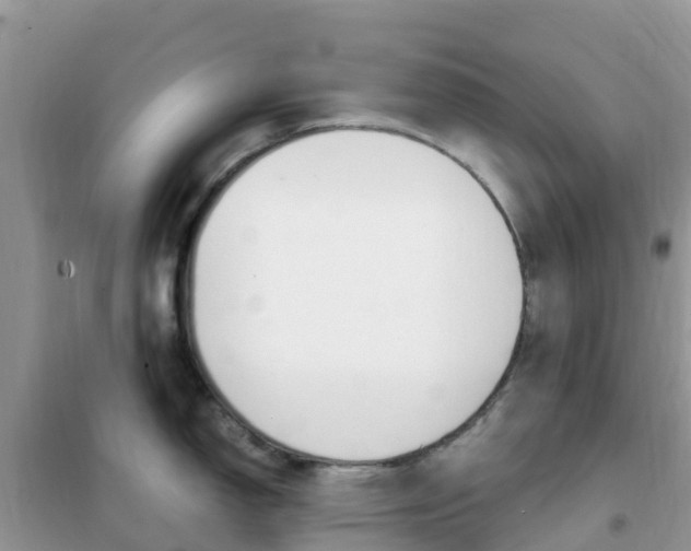 X0000102371150200808011018