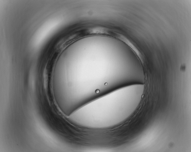 X0000102371151200808011018