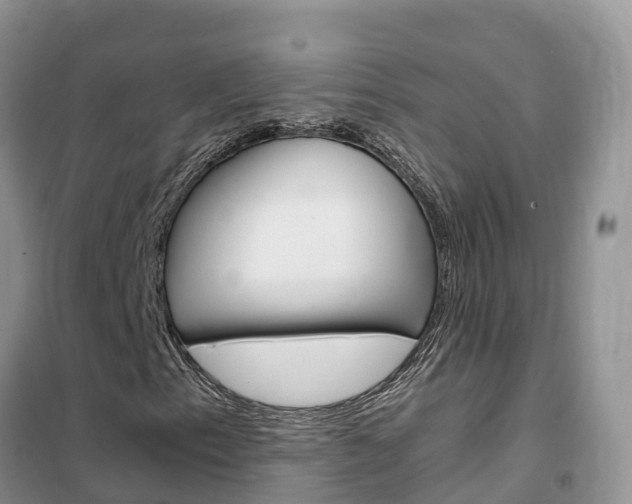 X0000102371153200808011017