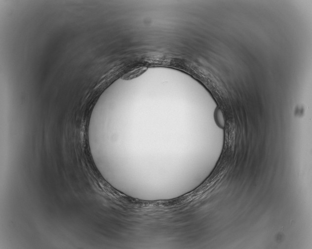X0000102371154200808011017