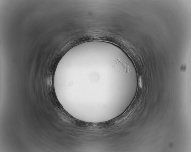 X0000102371155200808011017