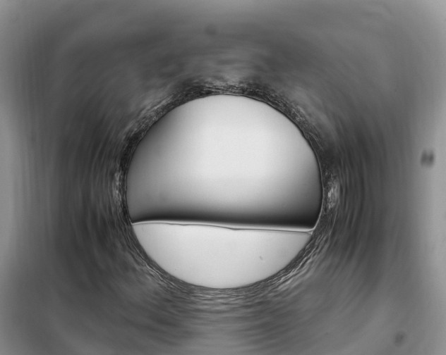 X0000102371156200808011017