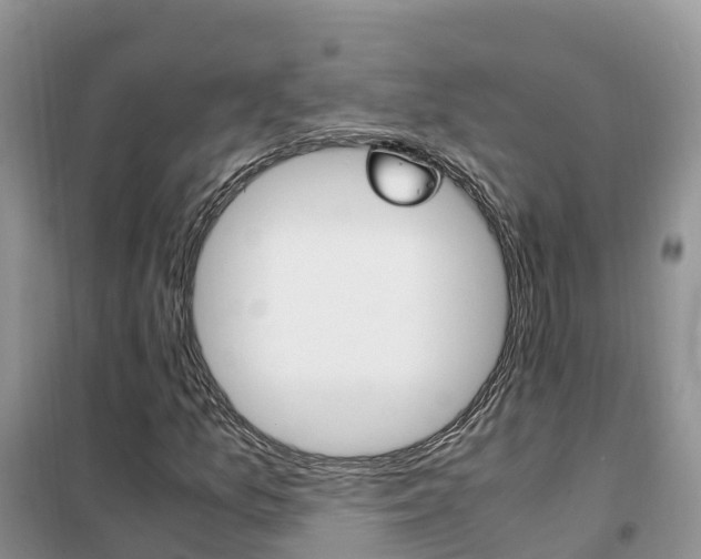 X0000102371157200808011017
