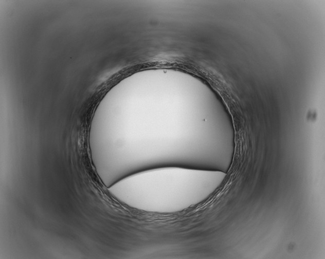 X0000102371158200808011017
