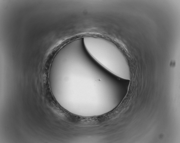 X0000102371159200808011017