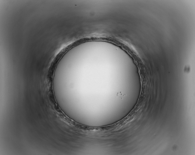 X0000102371160200808011017