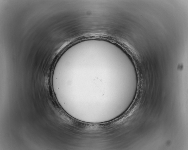 X0000102371162200808011017