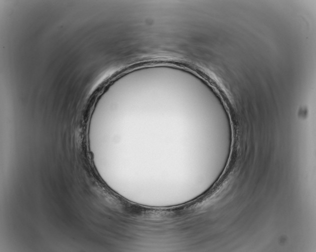 X0000102371163200808011017