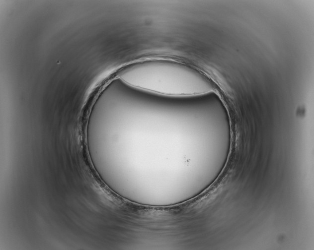 X0000102371164200808011017