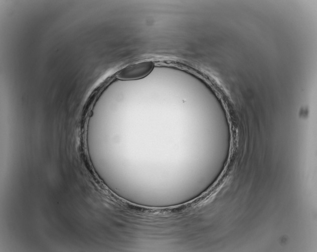 X0000102371165200808011017