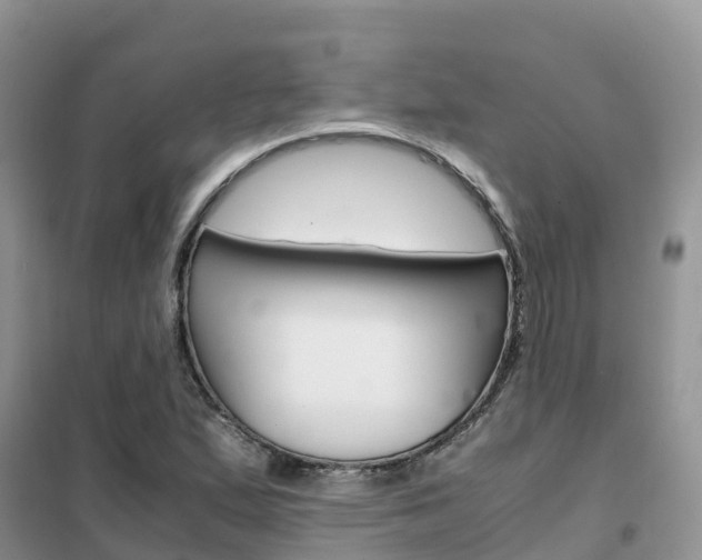 X0000102371167200808011017