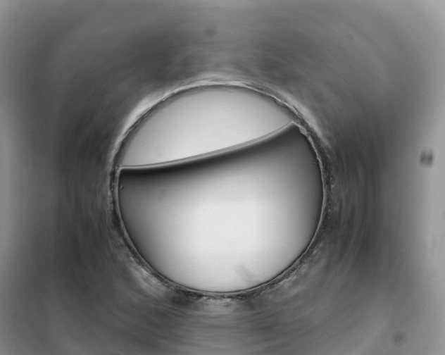 X0000102371168200808011017
