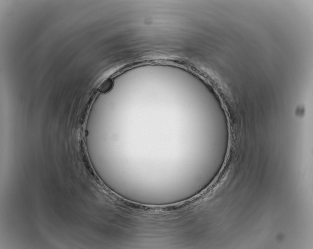 X0000102371169200808011017