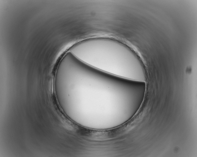 X0000102371171200808011017