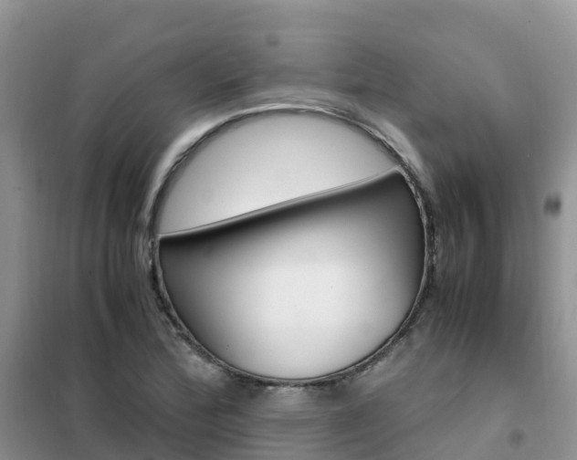 X0000102371172200808011017