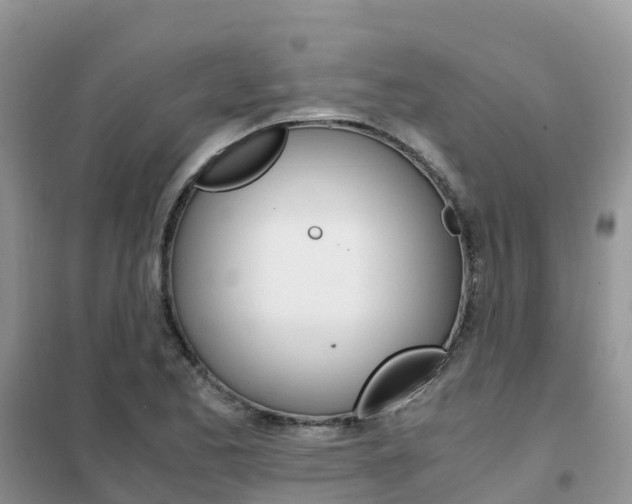 X0000102371173200808011017