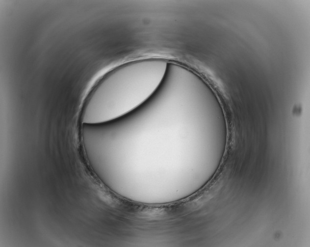 X0000102371174200808011017