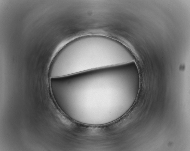 X0000102371176200808011017