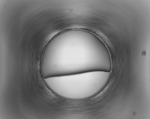 X0000102371177200808011017