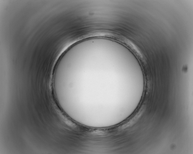 X0000102371178200808011017