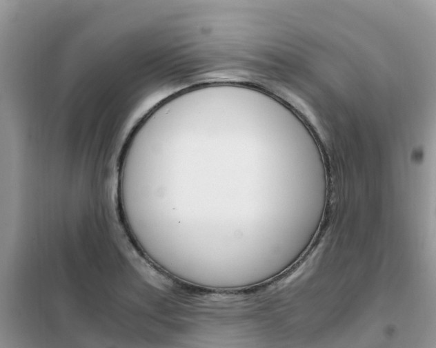 X0000102371179200808011017