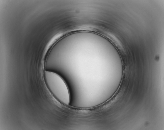 X0000102371180200808011017