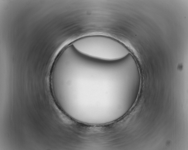 X0000102371181200808011017