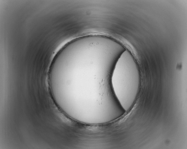 X0000102371182200808011017