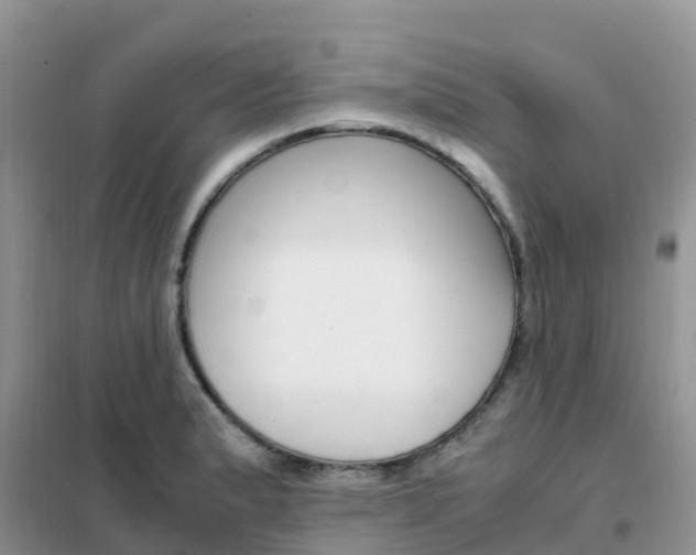 X0000102371183200808011017
