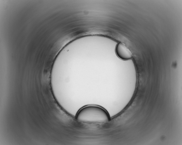 X0000102371185200808011016