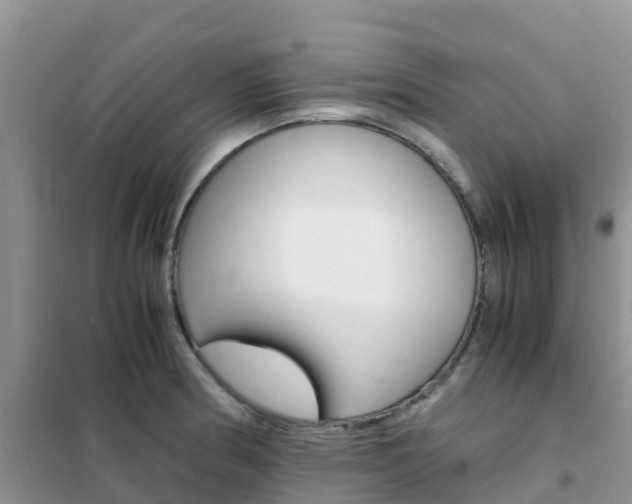 X0000102371186200808011016