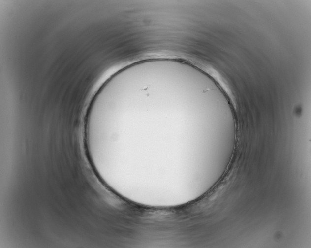 X0000102371187200808011016