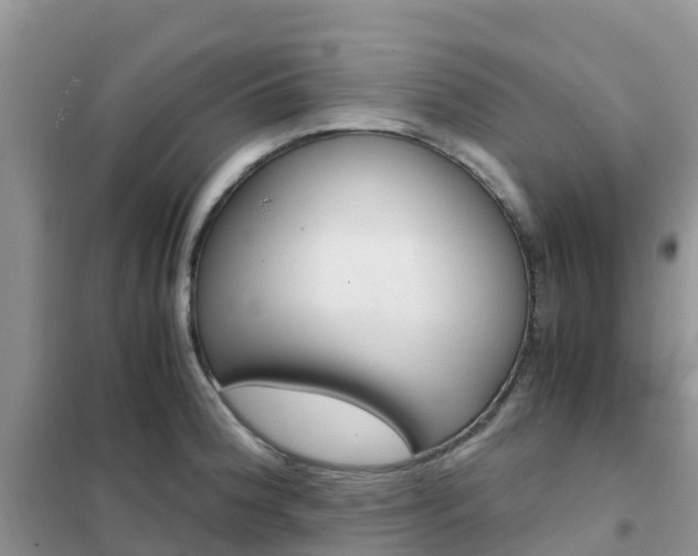 X0000102371188200808011016