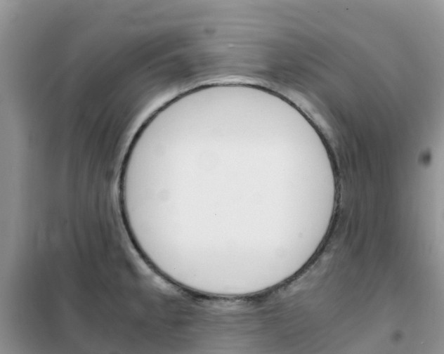 X0000102371189200808011016